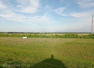 Земельный участок на продажу, 830 сот., Елабуга