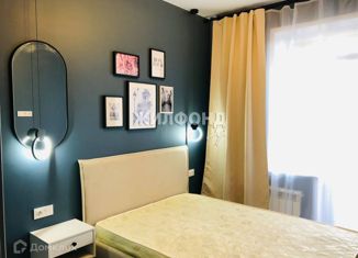 Продам квартиру студию, 26.9 м2, Новосибирск, Трудовая улица, 25/1, Трудовая улица