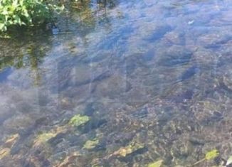 Участок на продажу, 600 сот., село Эльхотово