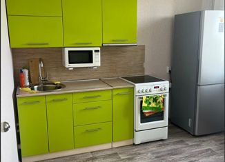 Сдаю 1-ком. квартиру, 35.4 м2, Челябинская область, улица Профессора Благих, 85
