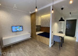 Сдам квартиру студию, 30 м2, Санкт-Петербург, Лиговский проспект, 271, метро Обводный канал