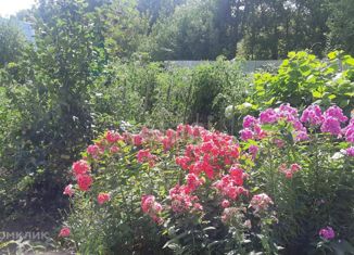 Продажа дома, 24 м2, Бердск, площадь Максима Горького