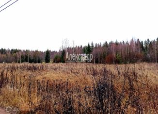 Продам земельный участок, 20 сот., поселок Большое Поле