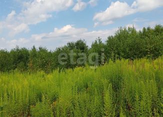 Продается земельный участок, 12 сот., деревня Гремячки, Ключевая улица