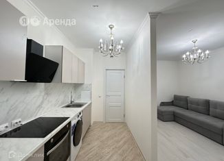 Сдам 1-комнатную квартиру, 37 м2, Санкт-Петербург, улица Кустодиева, 5к1, Выборгский район