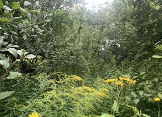 Продажа земельного участка, 6.36 сот., село Авчурино, Заозёрная улица