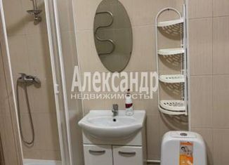 Сдается 1-ком. квартира, 27 м2, деревня Кудрово, Венская улица, 4к2