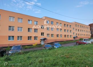 Продам однокомнатную квартиру, 31.3 м2, деревня Рапполово, Овражная улица, 28