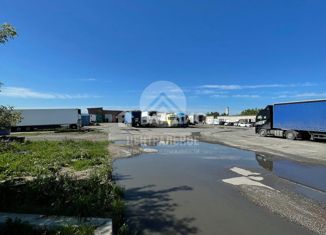 Продажа участка, 219 сот., поселок Красный Восток, Советская улица, 65