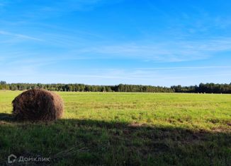 Продам земельный участок, 414 сот., Покровское сельское поселение