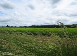 Продажа земельного участка, 630 сот., Ягановское сельское поселение