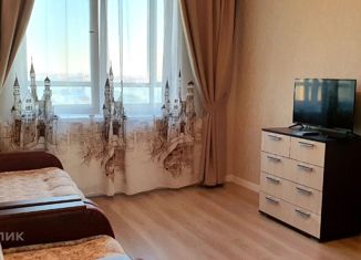 Аренда однокомнатной квартиры, 32 м2, Санкт-Петербург, Кушелевская дорога, 1к2, метро Лесная