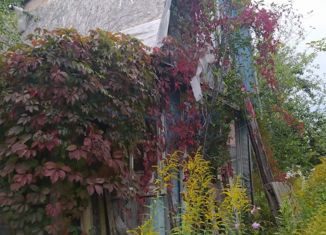 Продам дом, 30 м2, деревня Утечино, Центральная улица