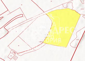 Продаю земельный участок, 9500 сот., деревня Забелино