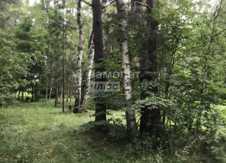 Продажа земельного участка, 26 сот., деревня Аксеново, 17Н-85