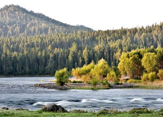 Продаю дом, 46 м2, село Турочак, улица Боляева