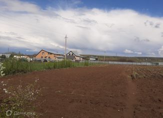 Продажа дома, 22.5 м2, село Борок, Центральная улица, 130