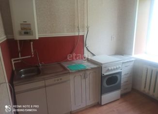 2-ком. квартира на продажу, 41.7 м2, деревня Кузнечиха (Кузнечихинский сельский округ), Центральная улица, 9