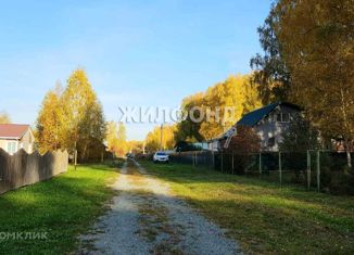 Продам земельный участок, 20 сот., село Новокаменка