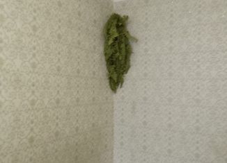 Продам дом, 28 м2, Апшеронск, Тихая улица