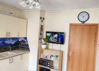 Продается трехкомнатная квартира, 76 м2, Санкт-Петербург, улица Фёдора Абрамова, 16к1