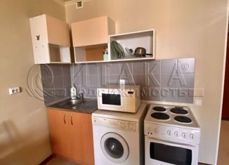 Продажа квартиры студии, 23.8 м2, Санкт-Петербург, Заречная улица, 11к2, метро Парнас