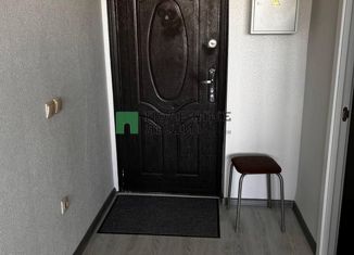 Продается квартира студия, 26 м2, деревня Хохряки, Тепличная улица, 30