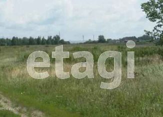 Продам земельный участок, 15.78 сот., село Борки