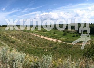 Продается земельный участок, 1429.66 сот., поселок Маяк, Берёзовая улица