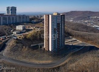 Продается квартира студия, 36.22 м2, Владивосток, Первореченский район, улица Сабанеева, 16В