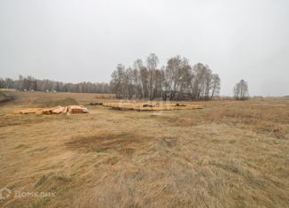 Продам участок, 9.4 сот., село Фирсово, Кедровая улица, 2А