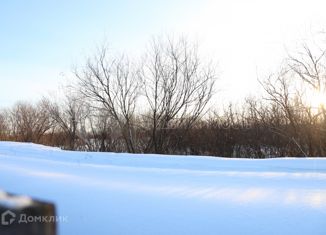 Продается дом, 25 м2, Тюмень, Луговая улица, Центральный округ