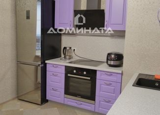Продается 1-ком. квартира, 43 м2, Санкт-Петербург, Кушелевская дорога, 5к2, метро Площадь Мужества
