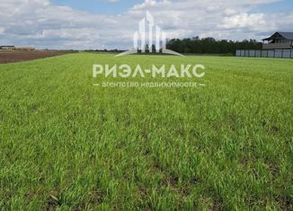 Продам земельный участок, 12 сот., деревня Горицы