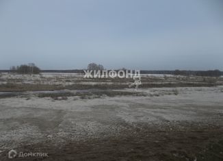 Продаю участок, 1500 сот., рабочий посёлок Колывань