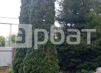 Продается дом, 270 м2, посёлок Новинки, Новая улица, 83