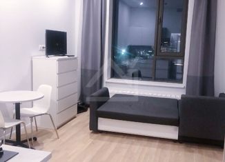 Сдаю квартиру студию, 25 м2, Москва, улица Пресненский Вал, 21, станция Белорусская