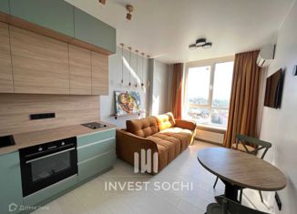 Продаю квартиру студию, 29.4 м2, село Орёл-Изумруд, улица Гастелло, 40А