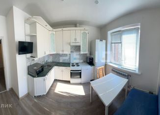 Продается 1-комнатная квартира, 39.5 м2, Санкт-Петербург, Парашютная улица, 56к1, ЖК Каменка