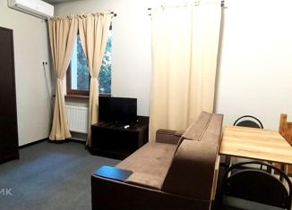 Продаю квартиру студию, 26 м2, село Орловка, Качинское шоссе, 33/9