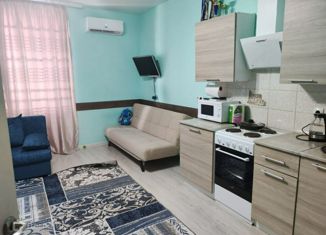 Продажа квартиры студии, 26.2 м2, Анапа, Анапское шоссе, 24к3, ЖК Раз-Два-Три