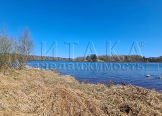 Продам дом, 80 м2, деревня Плотично, Голубая улица