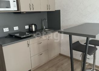 Сдаю в аренду квартиру студию, 20 м2, Новосибирск, улица Крылова, 67