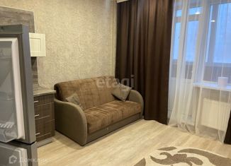 Квартира на продажу студия, 24 м2, Новосибирск, улица Михаила Кулагина, 31, улица Михаила Кулагина
