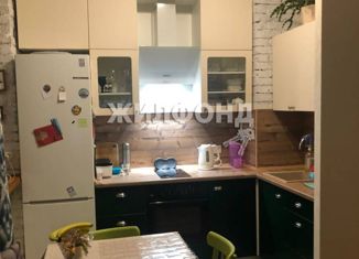 2-ком. квартира на продажу, 57.4 м2, Новосибирск, проспект Димитрова, 17, проспект Димитрова