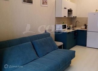 Продаю однокомнатную квартиру, 30 м2, село Краевско-Армянское, Измайловская улица, 20А