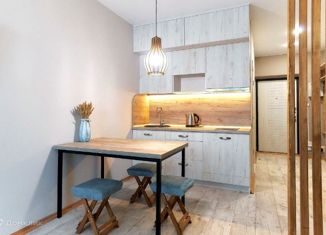 Продажа квартиры студии, 25 м2, Краснодар, улица Григория Пономаренко, 45, микрорайон имени Евгении Жигуленко