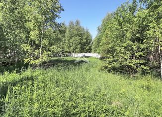 Продается участок, 15 сот., деревня Повадино