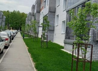 Продаю однокомнатную квартиру, 24.9 м2, деревня Царёво, улица Петра Гаврилова, 14