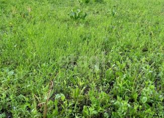 Продаю участок, 13.33 сот., село Солнцево